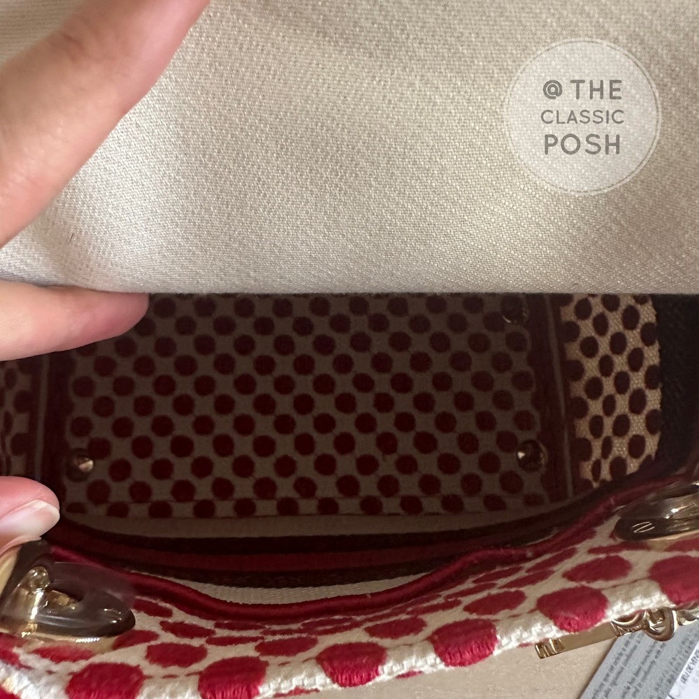 EUC Rare Christian Dior Lady D Lite Dioramour 2020 Lady Bug Dots Satchel Bag - Picture 7 of 16